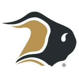 Bison Transport logo
